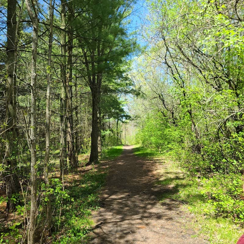 Marshlands Conservation Area - Image 3