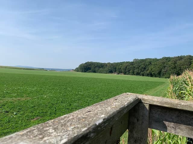 Burgstallwald Aussichtspunkt - Image 2