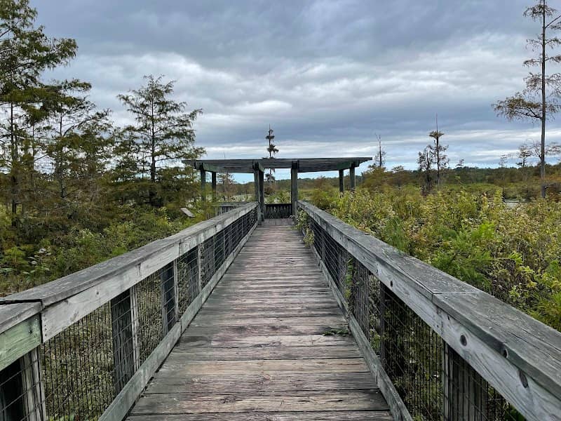 The Iatt Lake Observation Pier - Image 1