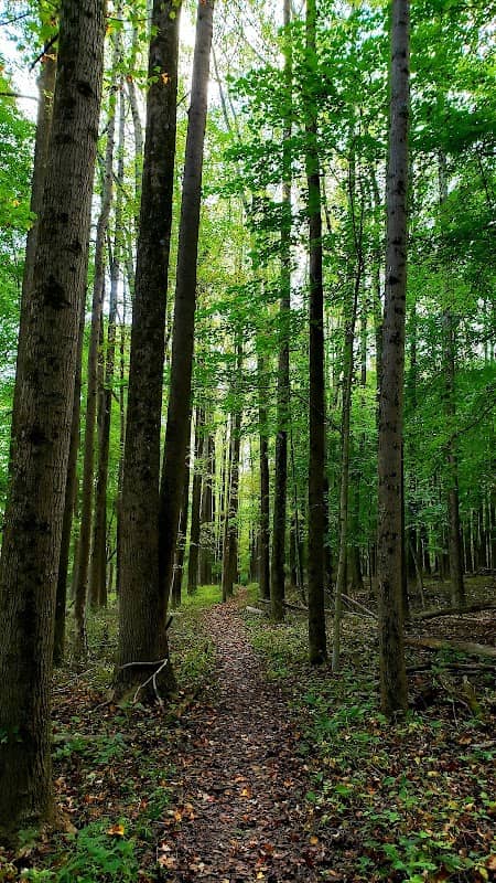 Denison Biological Reserve / Polly Anderson Field Station - Image 1