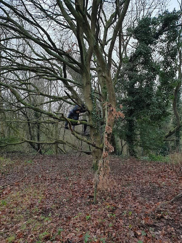 Red Lodge Heath - Image 2