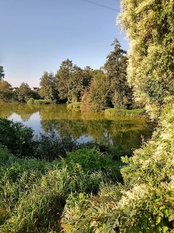 Großer Weiher Riedstadt - Image 1