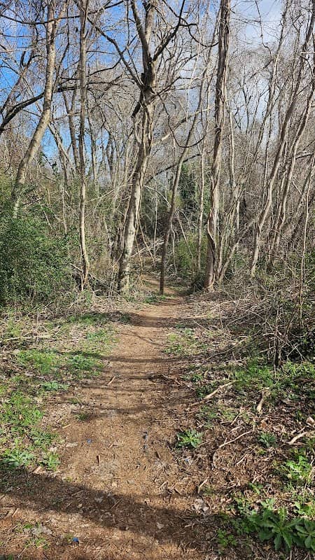 Clear Creek Trail - Image 2