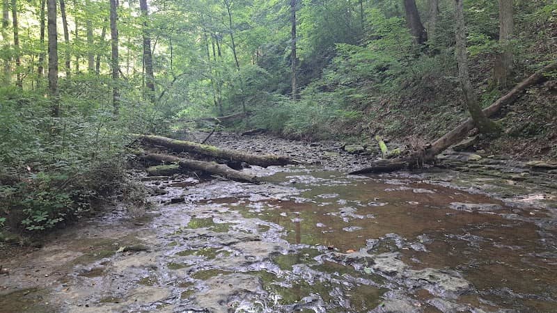 Clifty Falls State Park Nature Center - Image 2