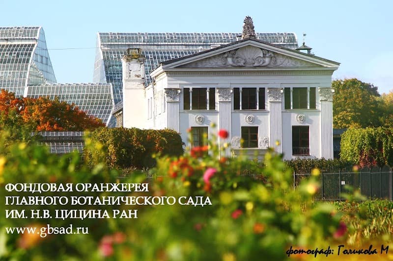 Old greenhouse stock - Image 1