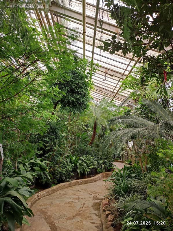 Old greenhouse stock - Image 2