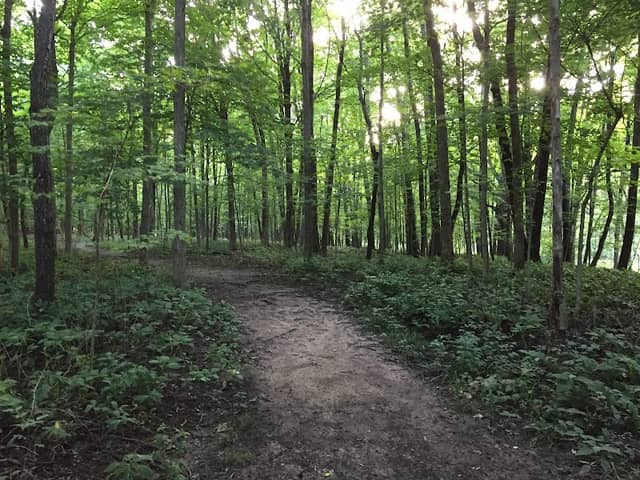 Messenger Woods Nature Preserve - Image 2