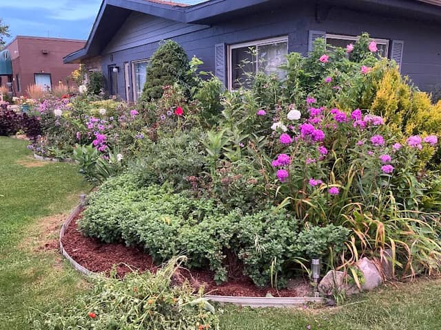 Joomangee Gardens - Image 1