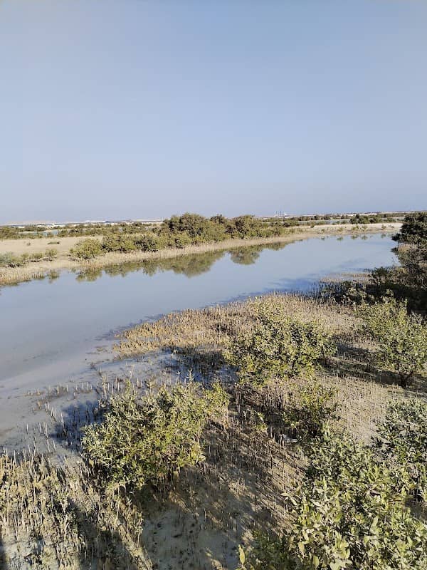 Jebel Ali beach line - Image 1