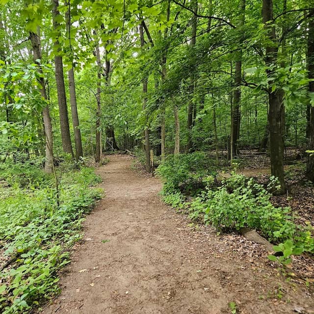 Quickstad Park - Image 1