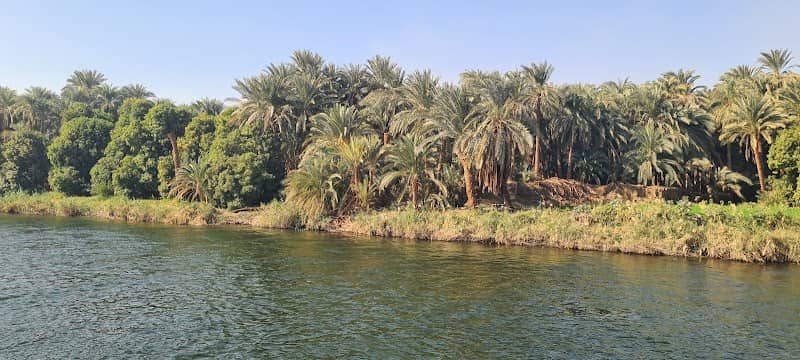 خور الرشيدي - Image 1