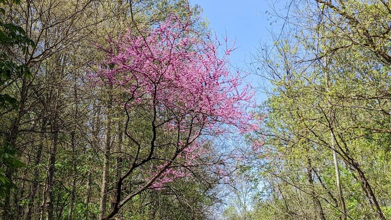 Hockhocking Adena Bikeway Trail Head - Image 2