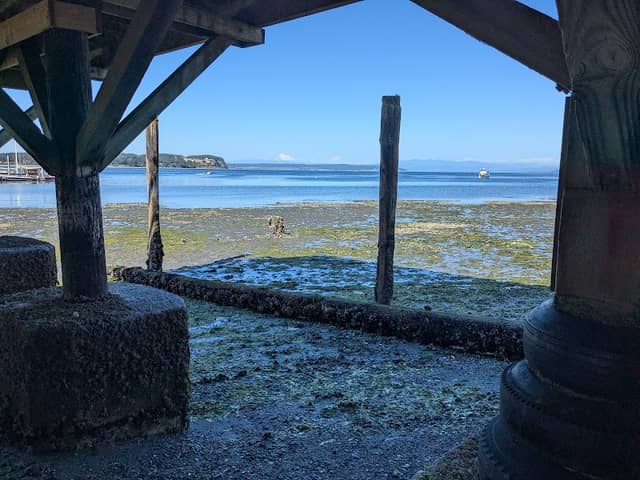 Coupeville Beach - Image 3