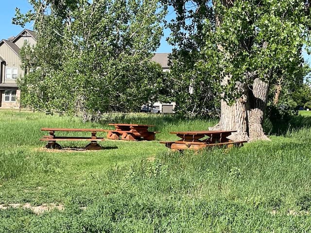 Picnic Bench North of Carson Nature Center parking lot - Image 2