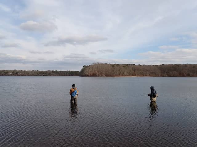 Hamblin Pond Beach - Image 1