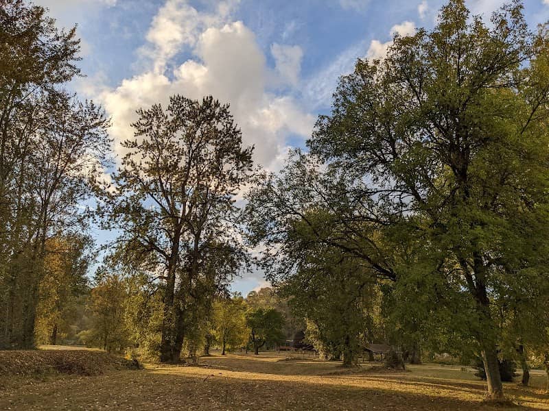 Briscoe Park - Image 1