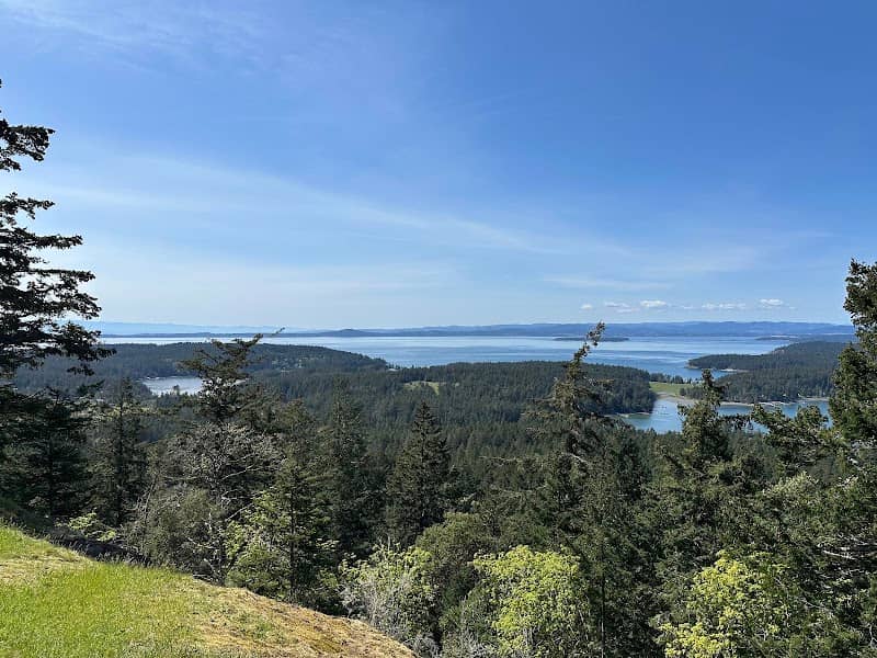 Young Hill viewpoint - Image 1