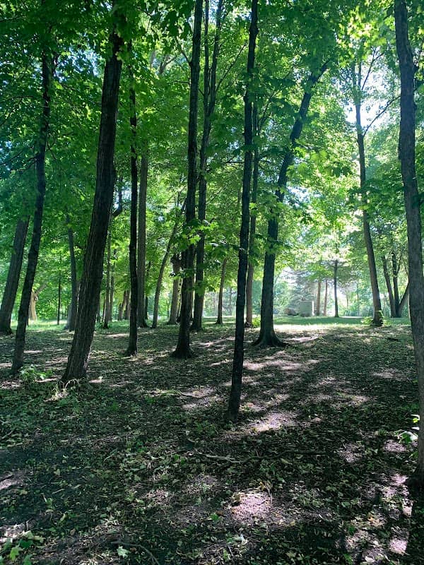 Mills-Sturges Park - Image 1
