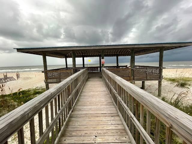 Cape Palms Park - Image 1
