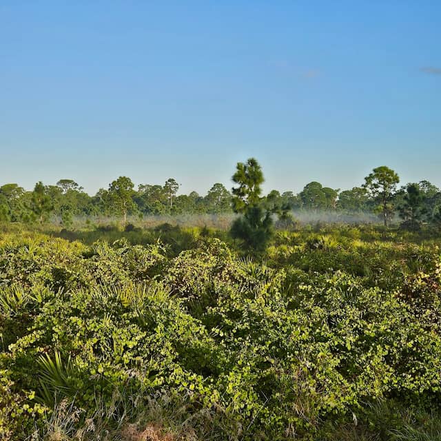 Price Trailhead - Image 1