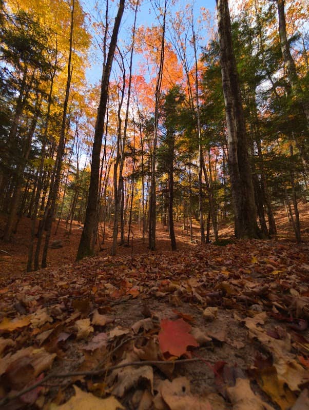 NTN Marquette Township Trailhead - Image 2