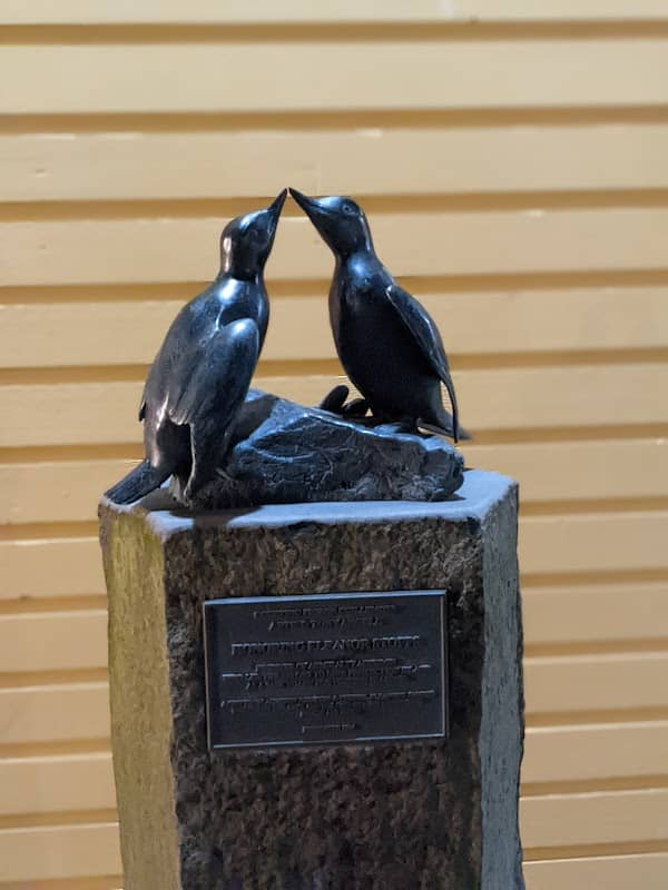 COURTING PIGEON GUILLEMOTS ARTIST: TONY ANGELL - Image 1