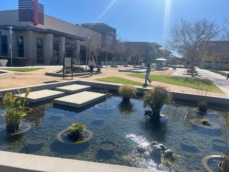 Collection Park - Image 3