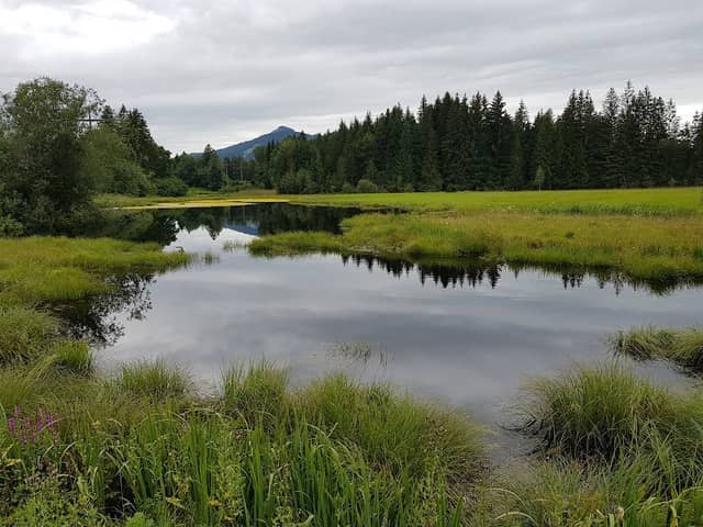 Egelsee - Image 1