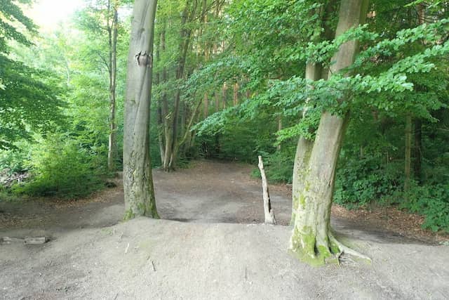 Outdoor Bike Park Ehmen - Image 1