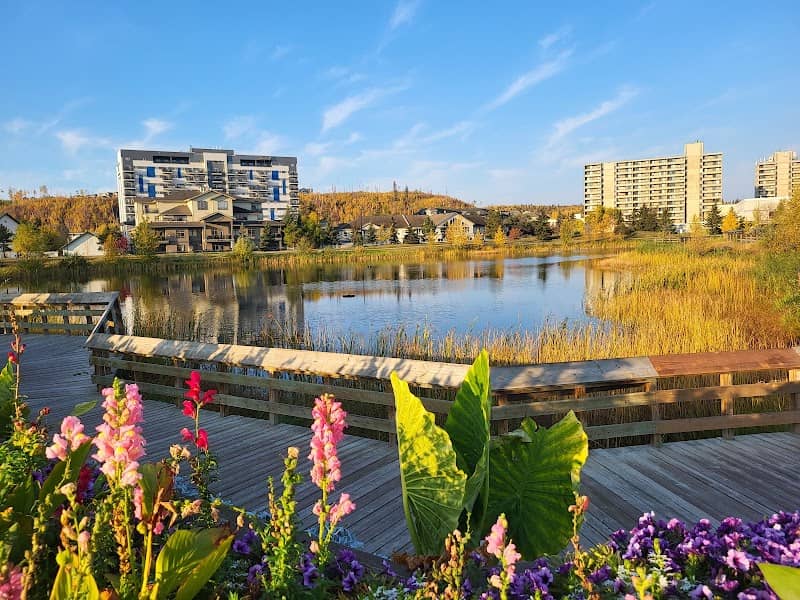 Borealis Park - Image 2