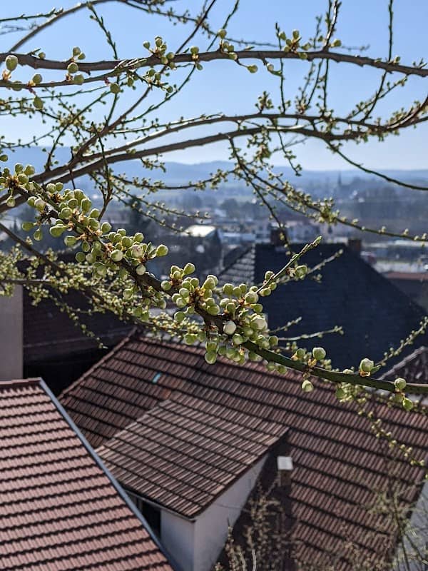 Aussichtspunkt - Image 3