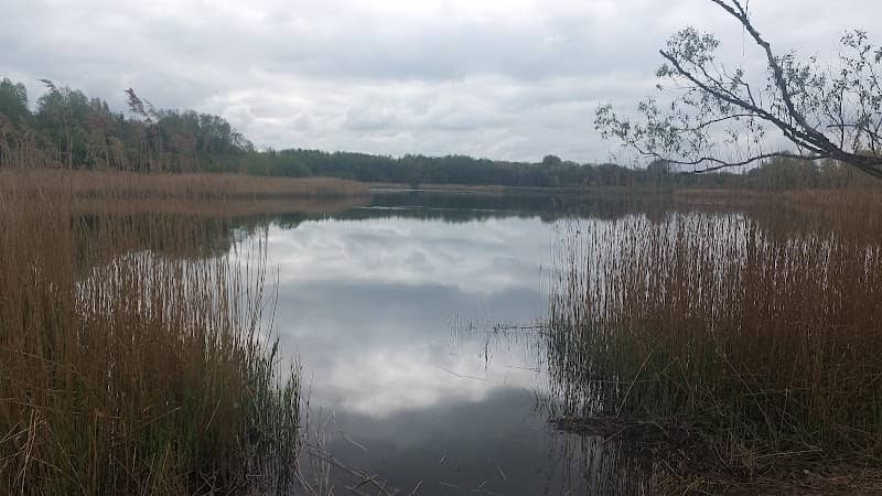 Amberswood Nature Reserve - Image 1