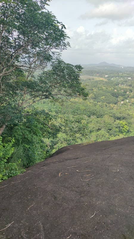 Thirichittur Hiking Area - Image 2