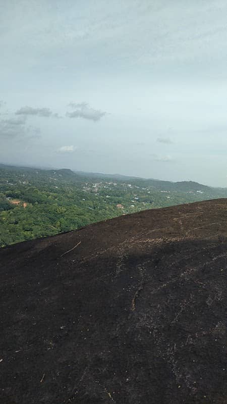 Thirichittur Hiking Area - Image 1