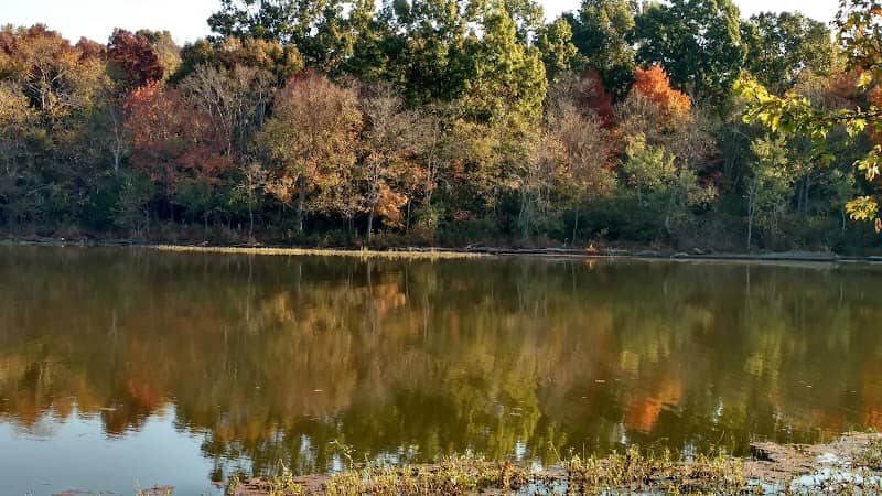 Station Camp Creek - Image 2