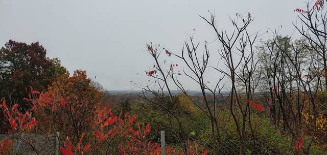 Scenic View - Image 1