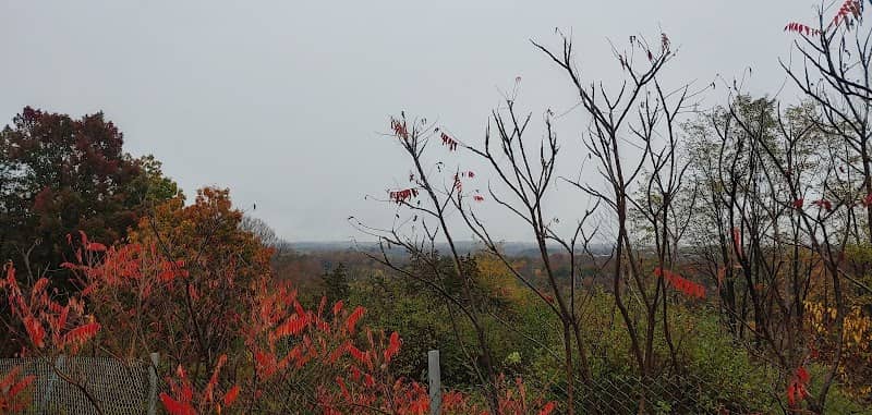 Scenic View - Image 1