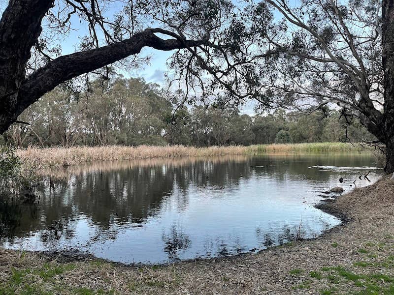 Beeliar Regional Park - Image 2
