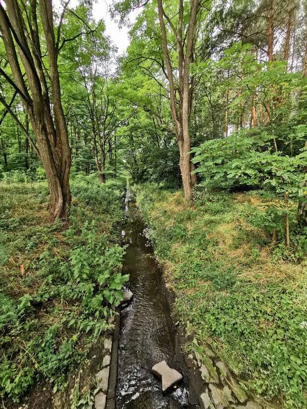Mały mostek nad Gęśnikiem - Image 1