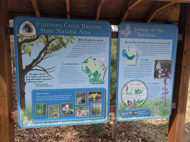 Emmons Creek Barrens State Natural Area - Image 2