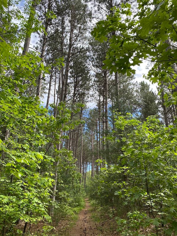 Emmons Creek Barrens State Natural Area - Image 1