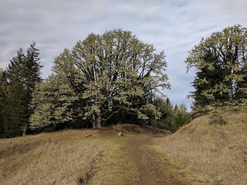 Fitton Green Natural Area - Image 2