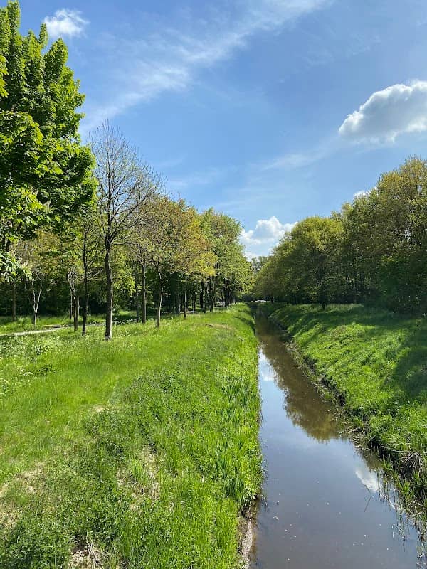 Hochzeitswald - Image 1