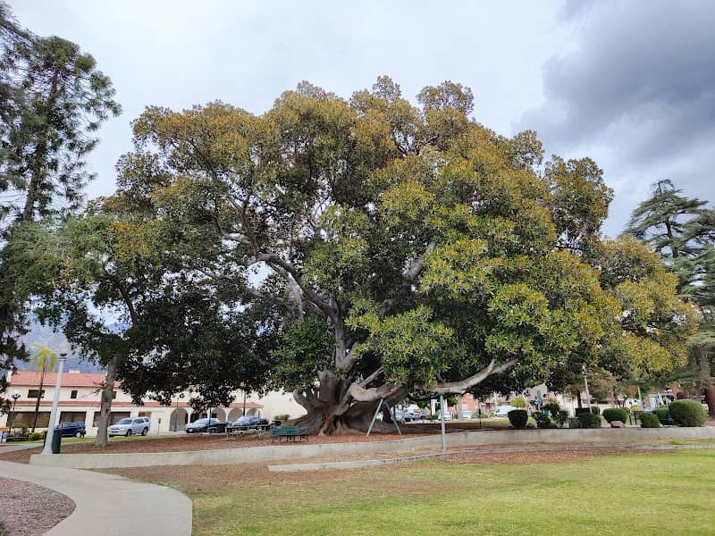 Library Park - Image 1