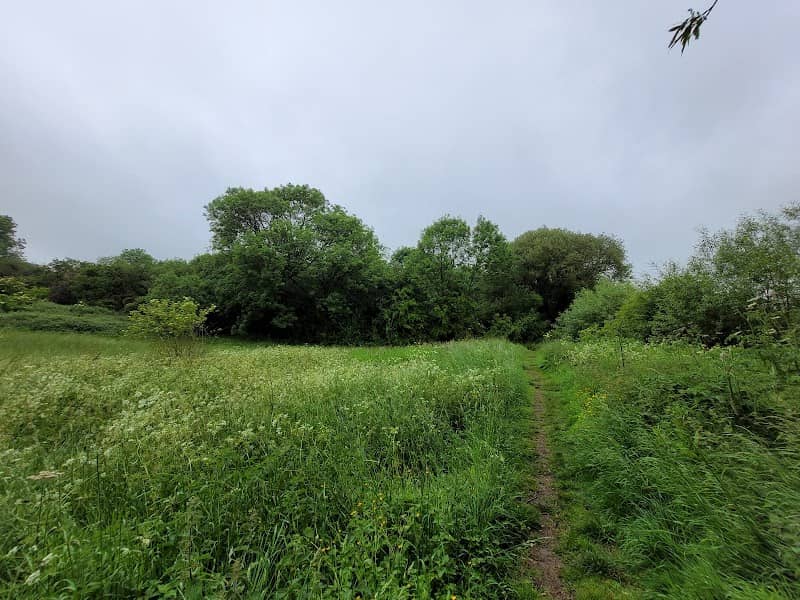 Swansbrook Grove - Image 1