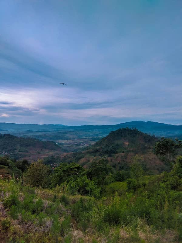 Bukit Ci Leueur (Area Camping & Wisata Alam) - Image 1