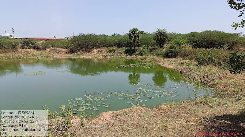 Thamarai kulam verkadu - Image 1