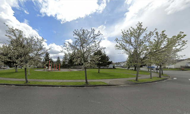 Old Pioneer Park - Image 1