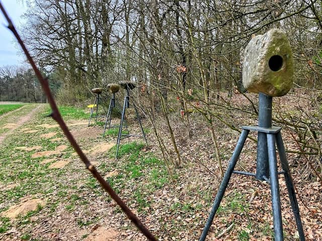 "Fernrohrsteine" des Geoerlebnispfades "Bewegte Steine" - Image 1