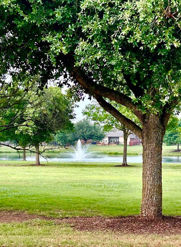 Falcon pointe fountain - Image 3